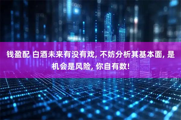 钱盈配 白酒未来有没有戏, 不妨分析其基本面, 是机会是风险, 你自有数!