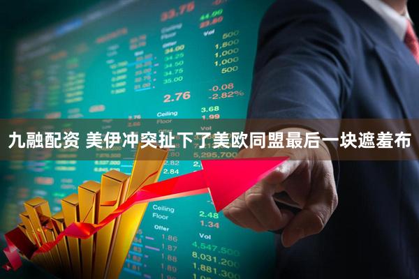 九融配资 美伊冲突扯下了美欧同盟最后一块遮羞布